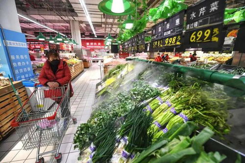 苗木價格迎來下行拐點，市場機遇與挑戰并存