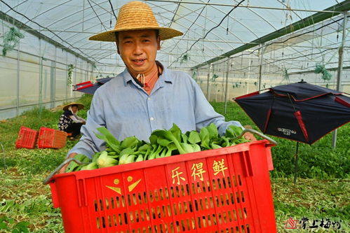 小特色撬動大產業 梅江區苗木產業的市場化、產業化、品牌化路徑
